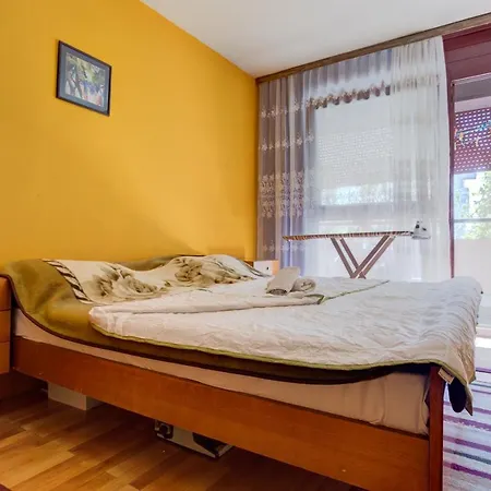 Lavender Podgorica